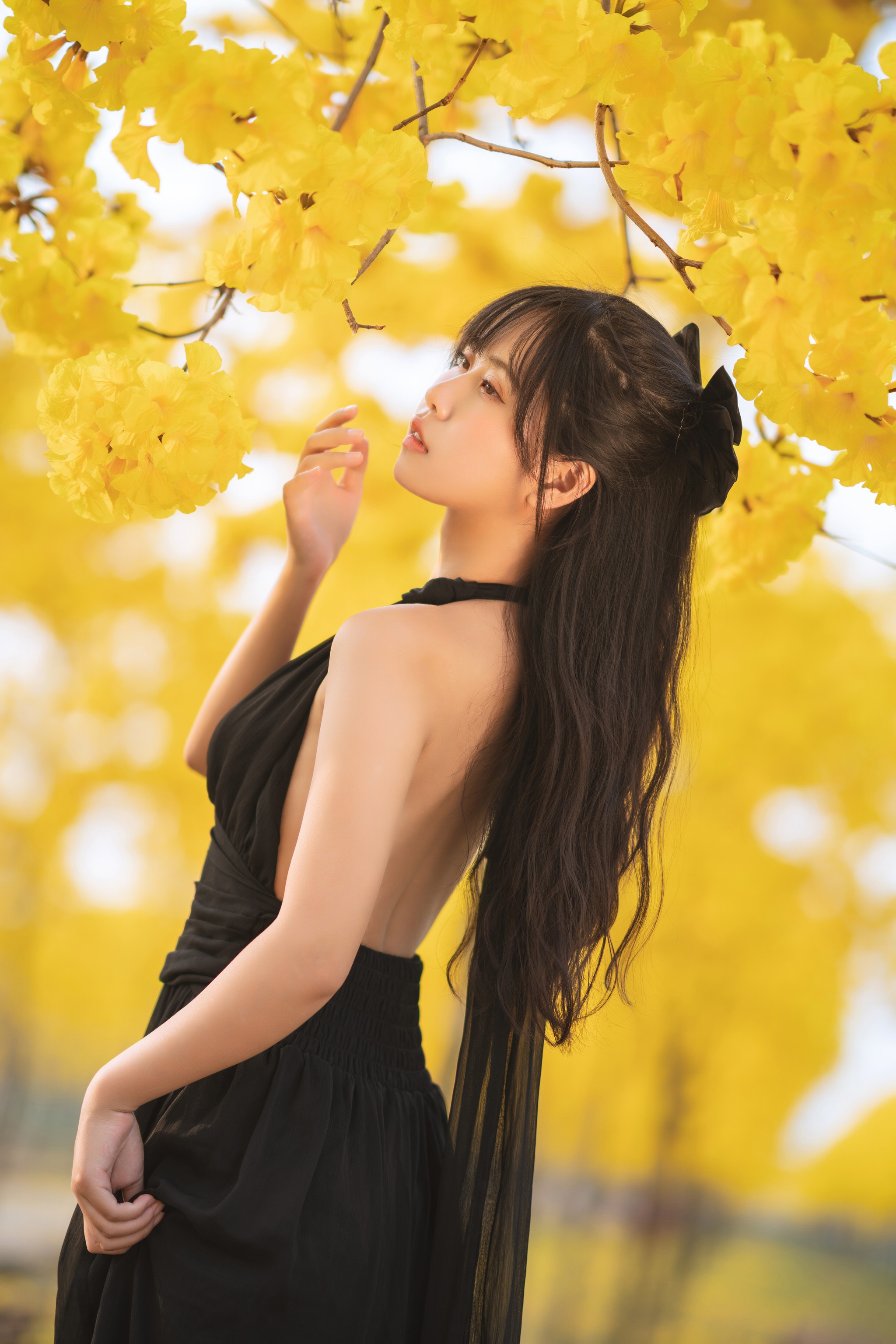 萌芽儿o0 - NO.026 秋有银杏 春有黄风铃[24P]-XikXak